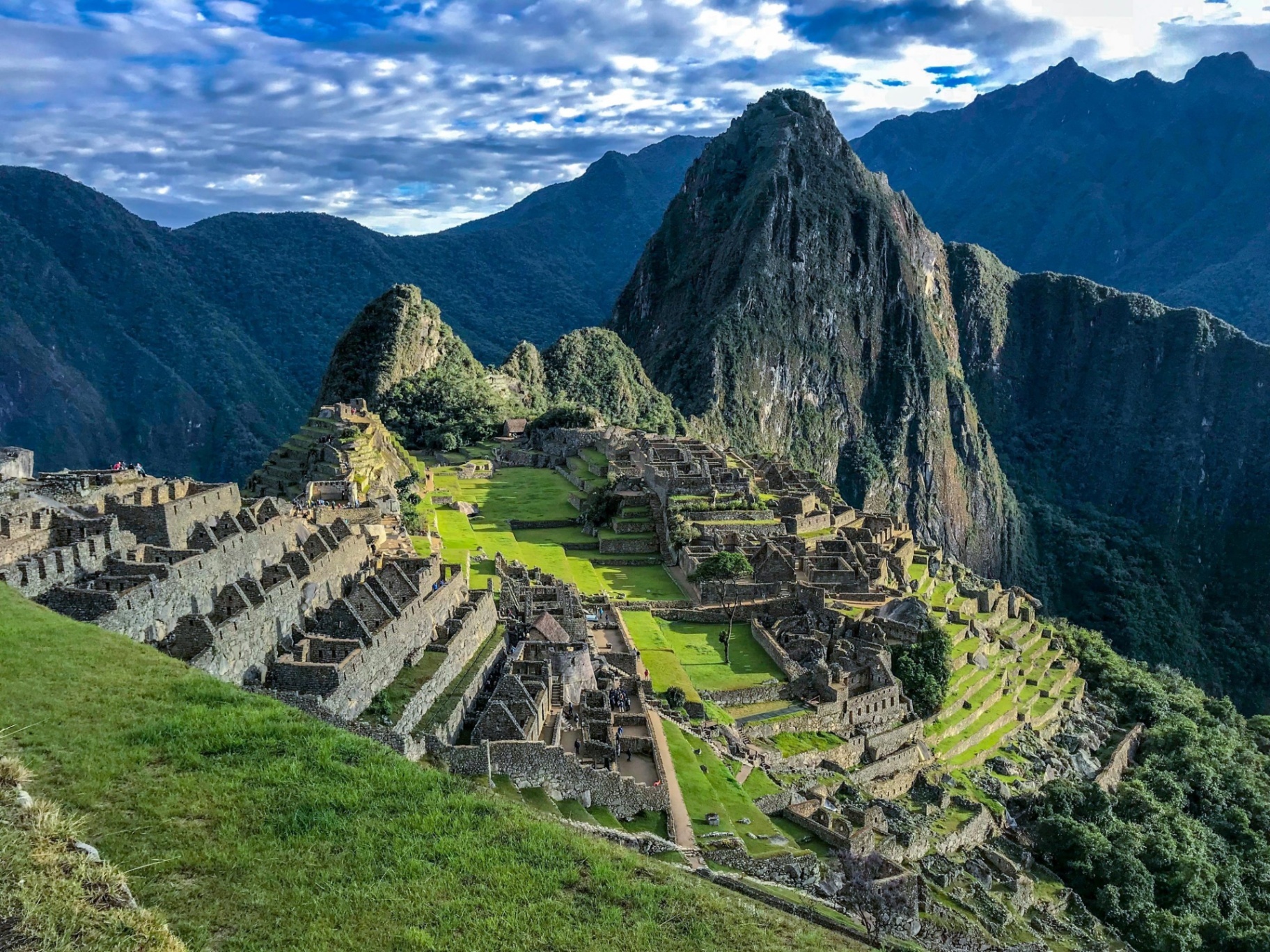 Att hämta kakao från Peru